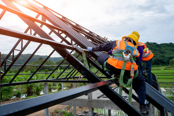 Best Roof Repair Services  in Han, GA