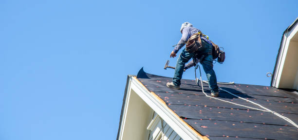 Best Flat Roof Repair Services  in Han, GA